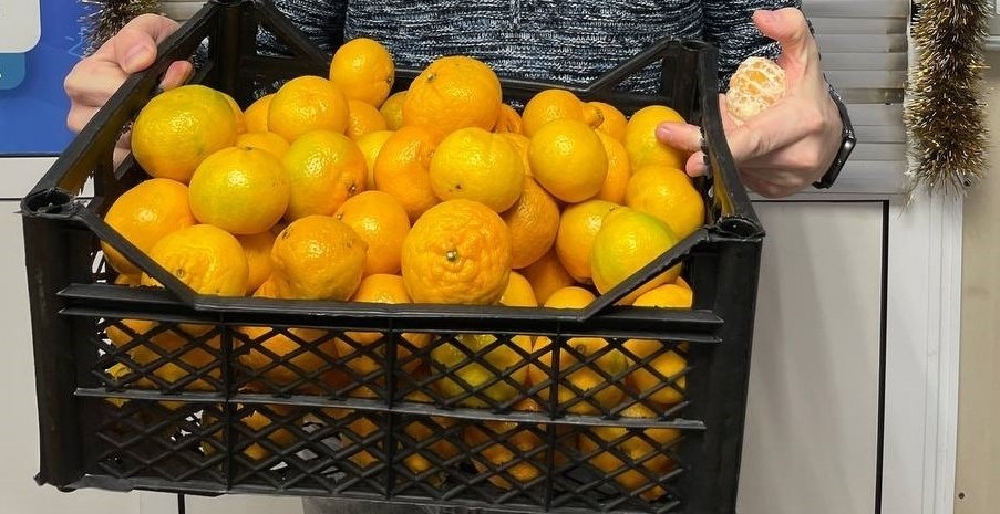 Более полутора тонн мандаринов, завезенных в Кировскую область, оказались заражены