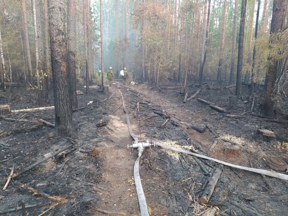 В Кировской области зарегистрирован 64-й лесной пожар с начала года