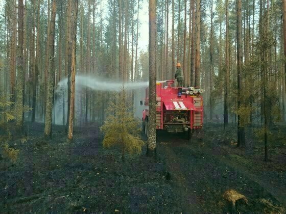 В выходные в Слободском районе горел лес