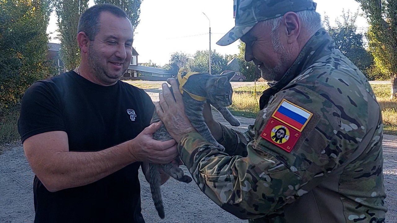 Владимир Уйба доставит ухтинке котёнка Симбу, которого приютил во время СВО  её покойный сын | 24.09.2023 | Сыктывкар - БезФормата