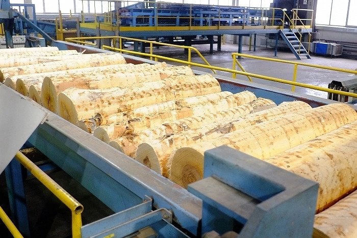 Из Кировской области в Китай вывезли более 15000 кубометров кругляка берёзы