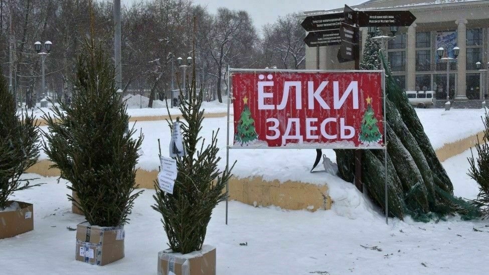 В Кирове откроются 8 елочных базаров