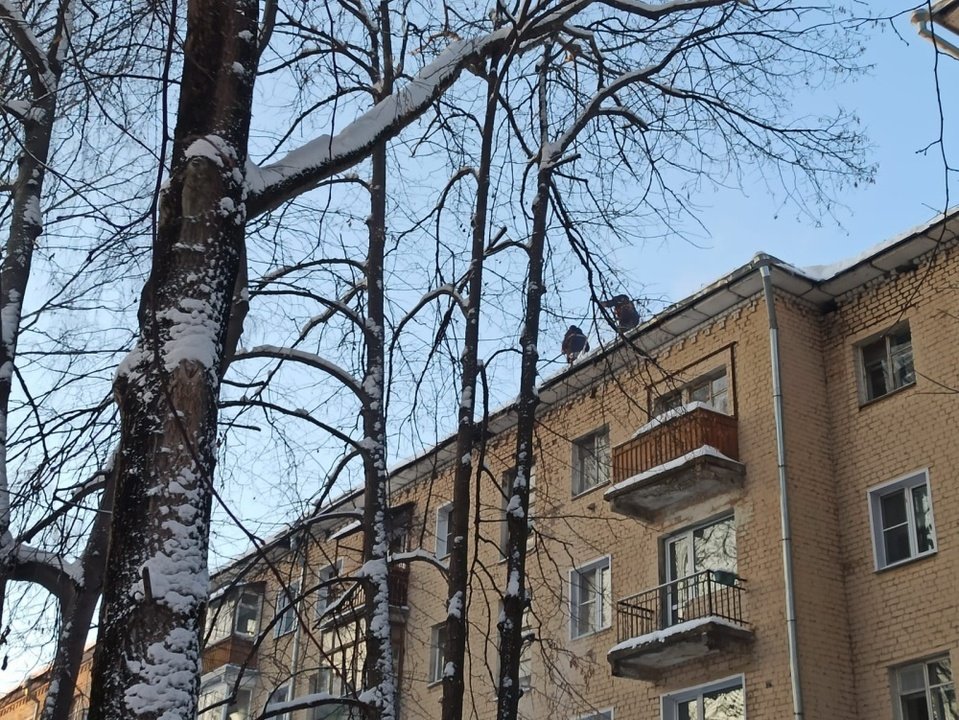 В Ленинском районе в 109 дворах выявлены снежные свесы и сосульки на крышах