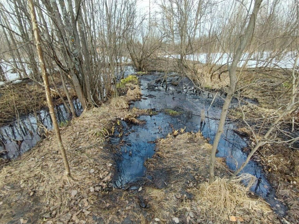 Сотрудники регионального минэкологии проверили информацию о нарушениях в компании «Вятлеспром» в Оричах
