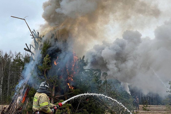 В Кирсе прошли учения по ликвидации лесного пожара