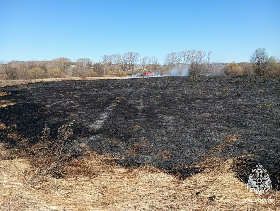 На окраине Нолинска произошëл ландшафтный пожар
