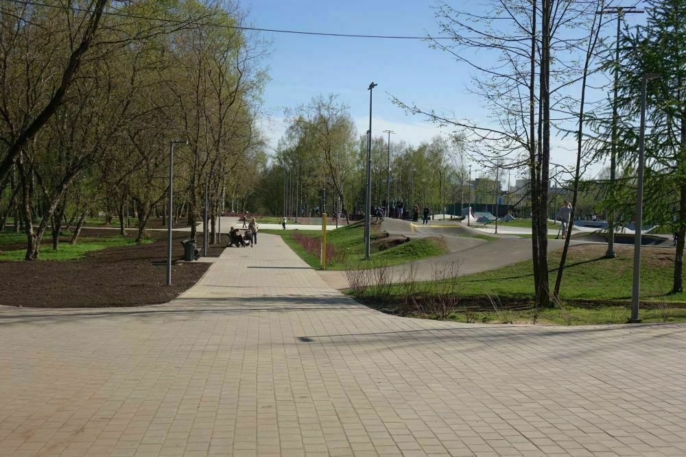 В парке имени Кирова к 12 июня высадят цветы