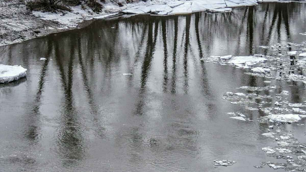 В северных и южных районах Коми ожидается мокрый снег