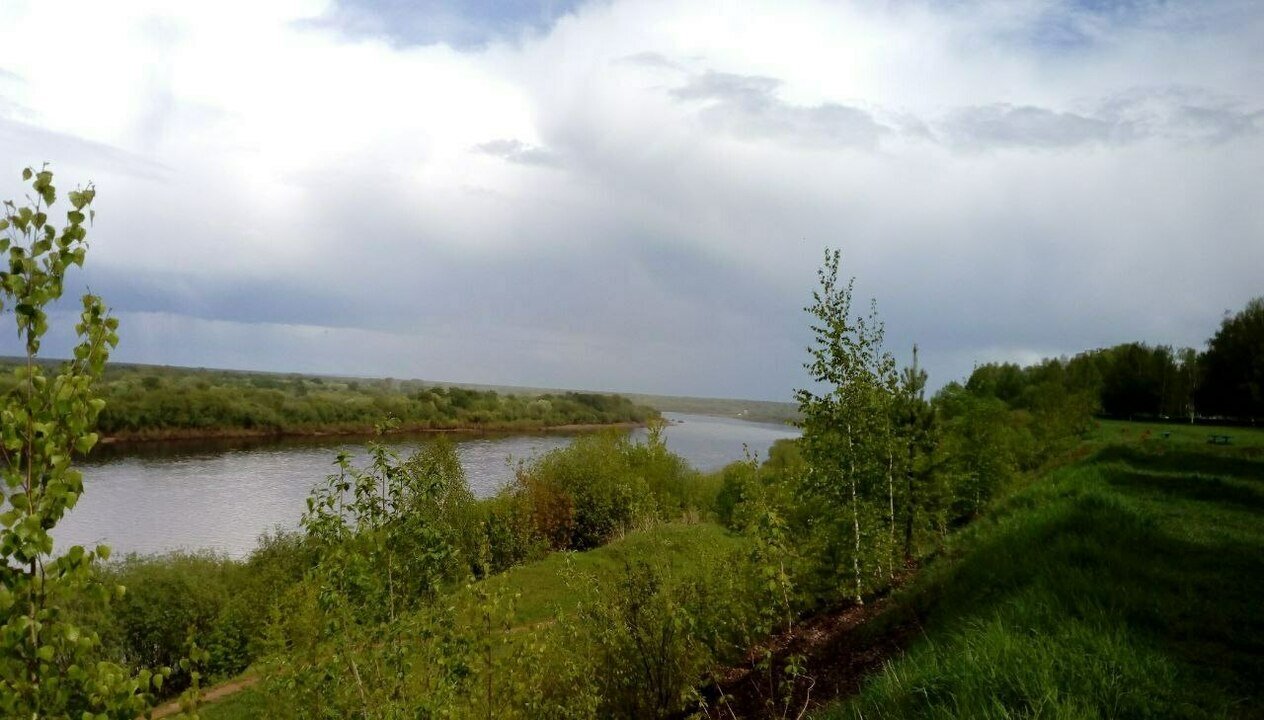 В первый день лета Кировской подует северо-восточный ветер