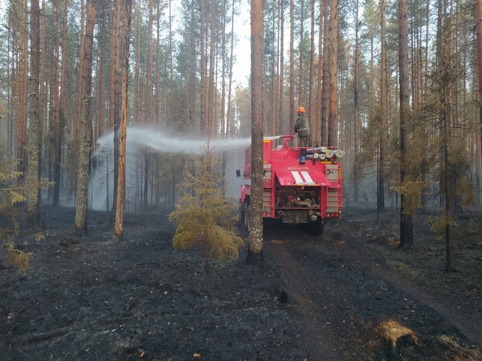 В Слободском лесничестве потушен лесной пожар