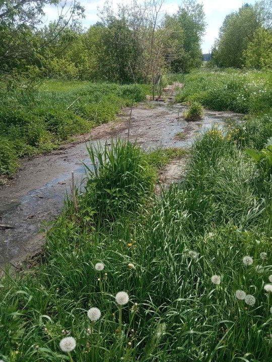 В селе Кырчаново Нолинского района больше года бьет канализационный «родник»