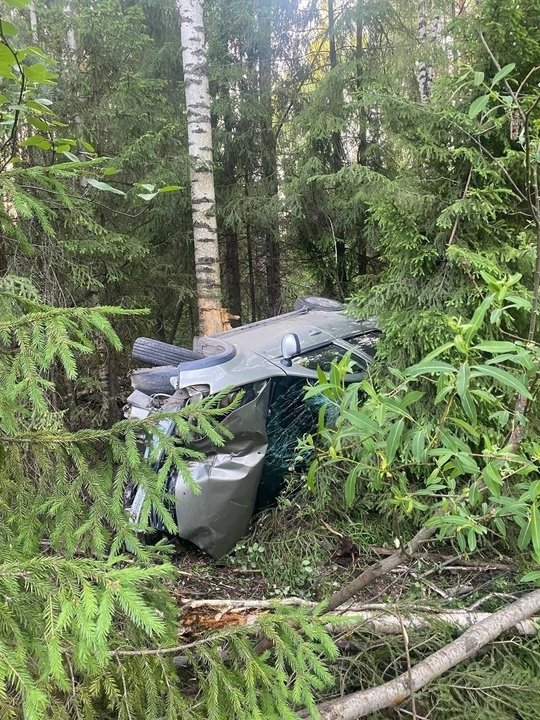 В Оричевском районе автоледи на «Рено» въехала в дерево