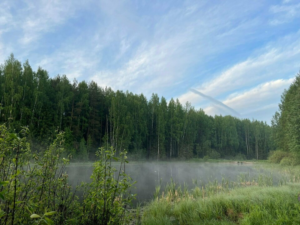 Кировская область вошла в топ-10 регионов с эффективным ведением лесного хозяйства