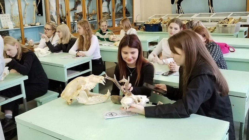 В Вятском ГАТУ у школьников есть прекрасная возможность пополнить знания о животных и познакомиться с профессией ветеринарного врача от специалистов-преподавателей