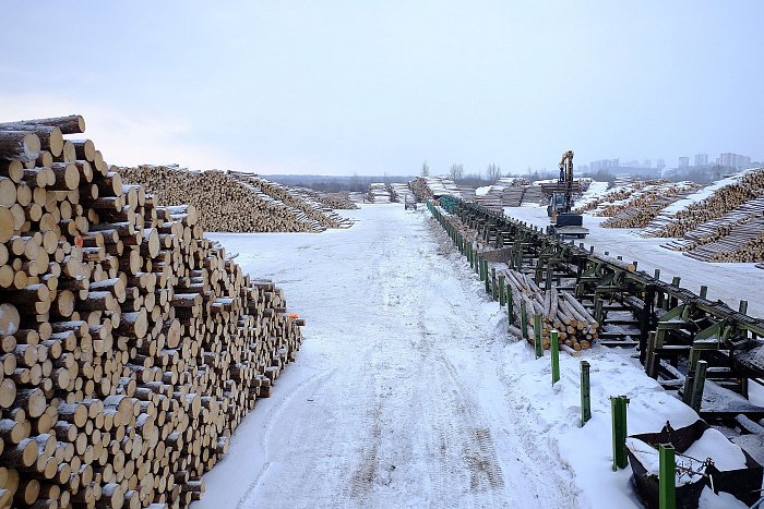 Экспорт круглого березового леса из Кировской области в Китай вырос почти в два раза