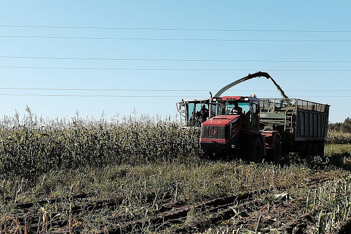Почти 14 тысяч жителей Кировской области получают повышенную пенсию за работу в сельском хозяйстве