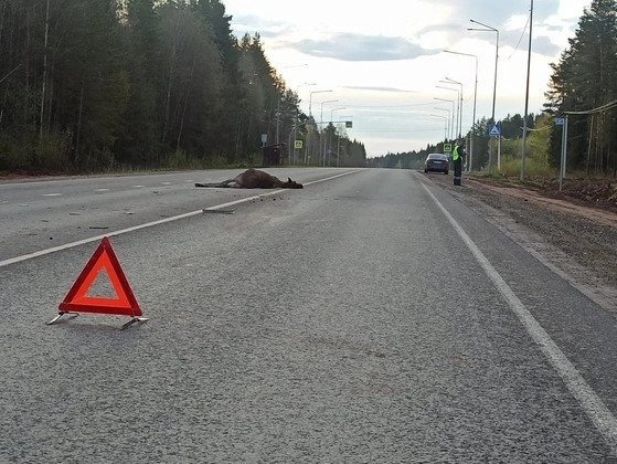 ГИБДД по Кировской области 