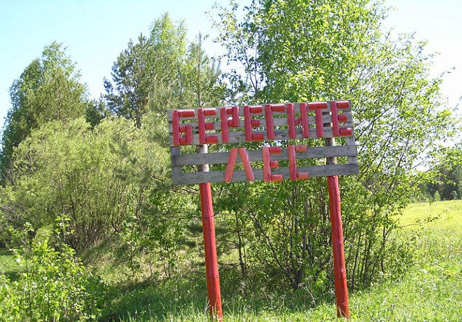 В лесах Кировской области введен 4 класс пожарной опасности