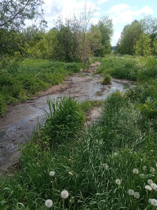 В Нолинске из-за неработающей канализации зловонные стоки образовали «пруд» возле жилых домов