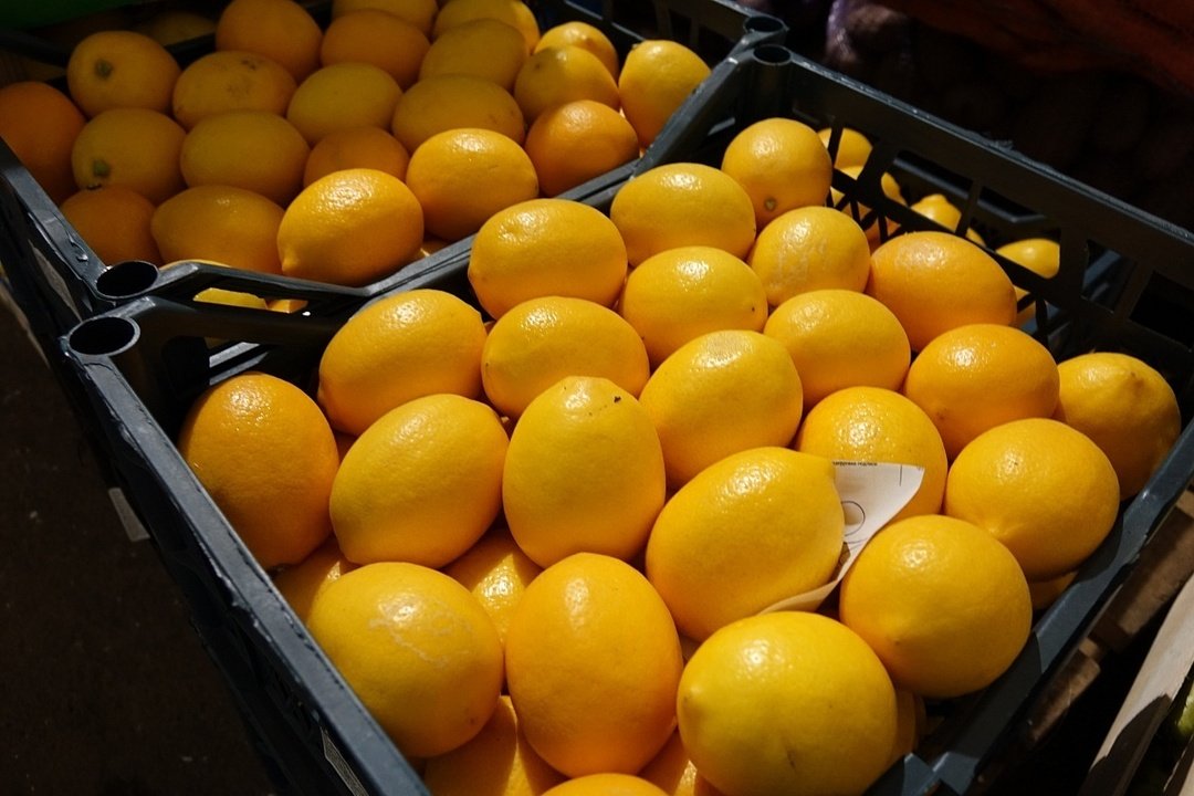 
        Тонна свежих лимонов, прибывших в Киров из Южной Африки, оказалась с сюрпризом
      