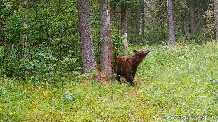 Фото Олега Опарина 