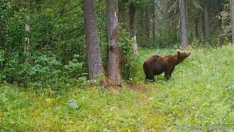 Олег Опарин