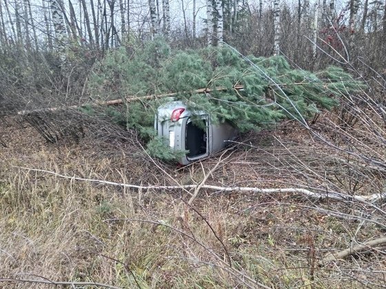 ГИБДД по Кировской области