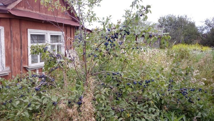 1istochnik.ru