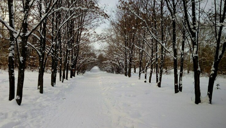 Первоисточник