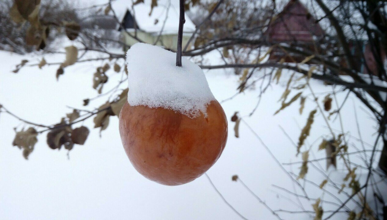 В Кировскую область пришли морозы