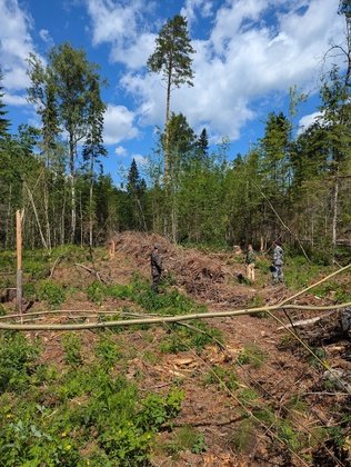 Прокуратура Кировской области