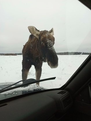 Олег Пономарев