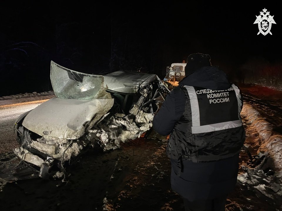 В Куменском районе возбудили уголовное дело по факту гибели ребенка в ДТП