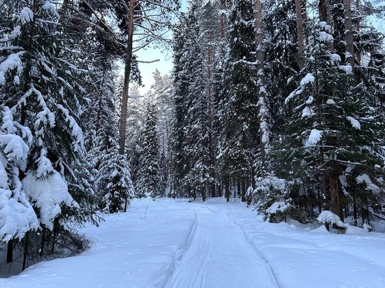 1istochnik.ru