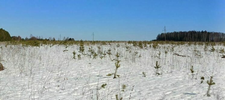 Россельхознадзор Кировской области