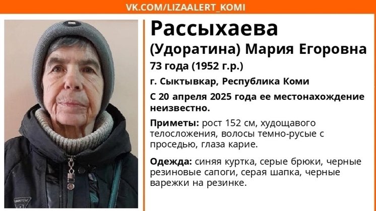 ориентировка «Лиза Алерт Коми»