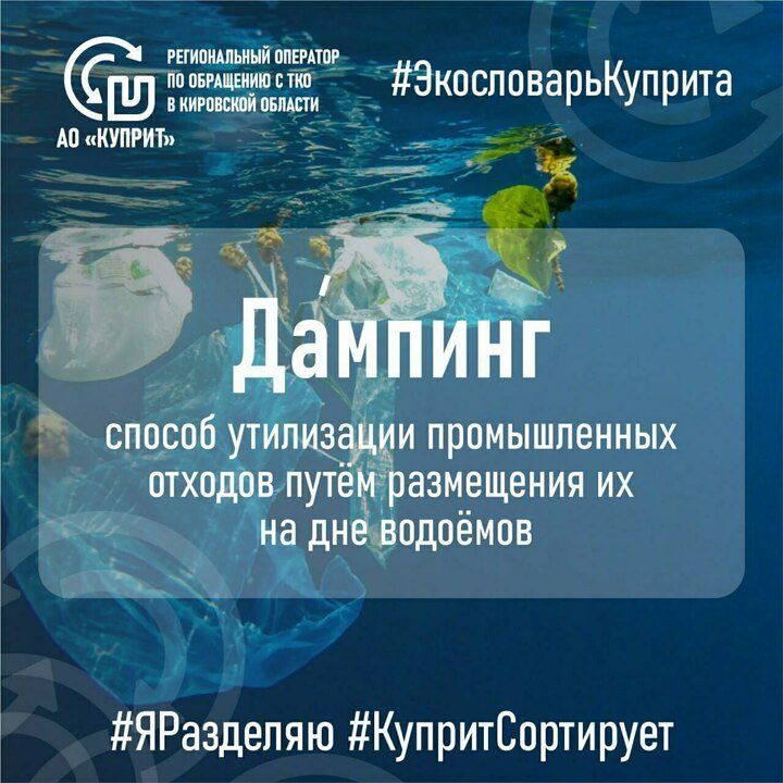 Экословарь: что такое дампинг и как он влияет на окружающую среду