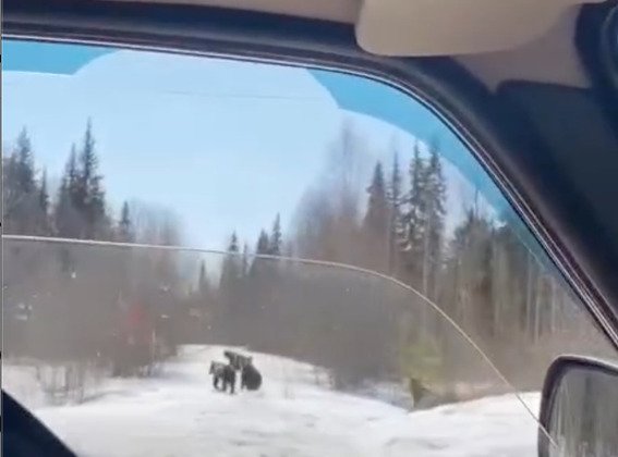 Скрин видео "Вуктыл Онлайн" 