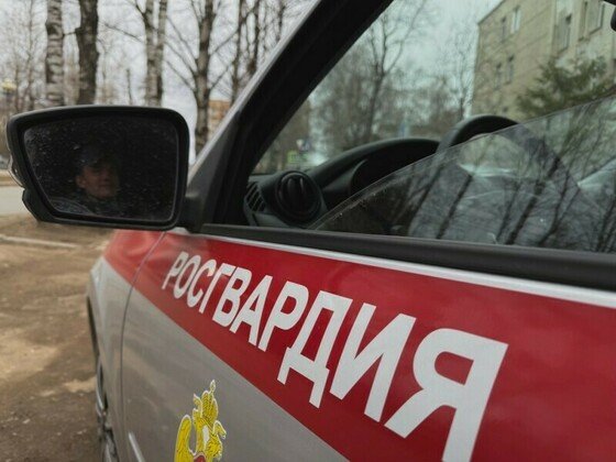 Фото Росгвардии по Коми