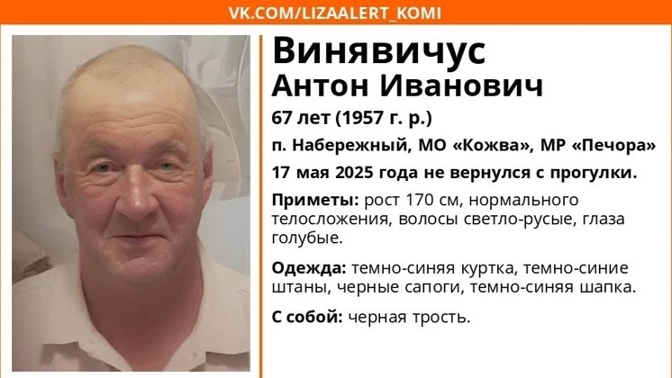 Фото ориентировки «Лиза Алерт Коми»
