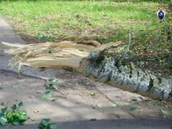СУ СКР по Кировской области