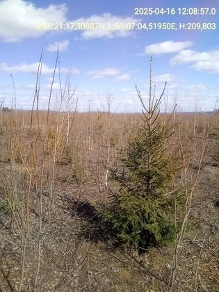 Россельхознадзор Кировской области