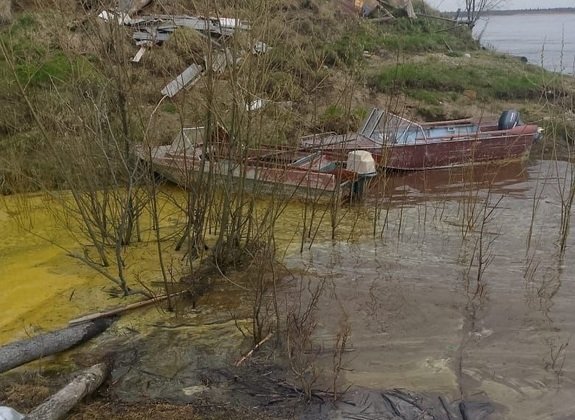 Фото Минприроды Коми 