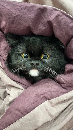 Первоисточник