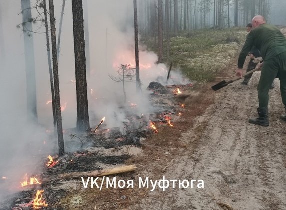 Фото группы ВК "Моя Муфтюга" 