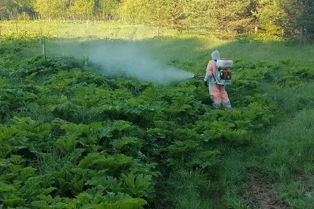 правительство Кировской области