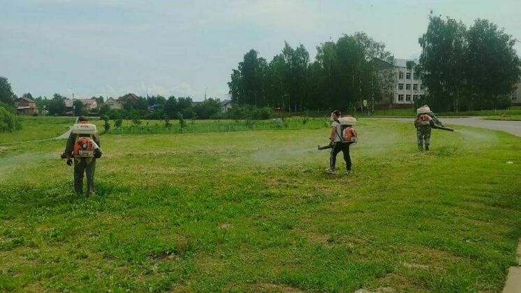 Администрация Кирова