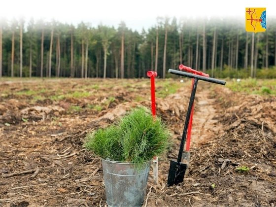 правительство Кировской области