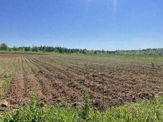 Управление Россельхознадзора по Кировской области