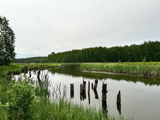 Первоисточник